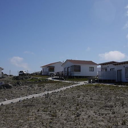 Las Hualas Punta de Choros Exteriér fotografie