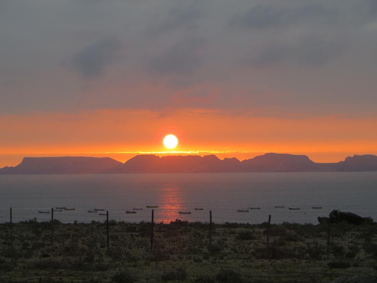 Las Hualas Punta de Choros Exteriér fotografie