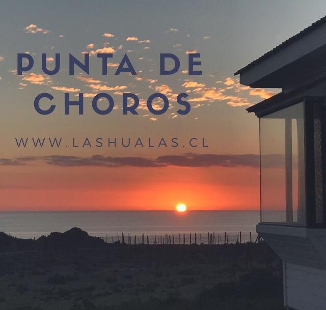 Las Hualas Punta de Choros Exteriér fotografie